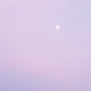 Meet your Posher, Batool